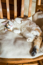 Similar image 13008115