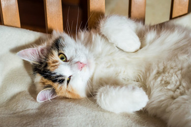 Similar image 13008116