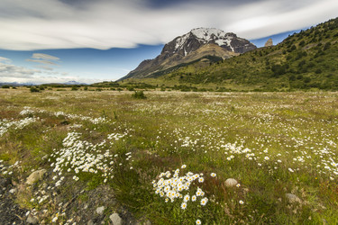 Similar image 13029578