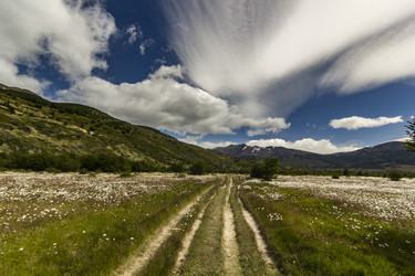 Similar image 13029579