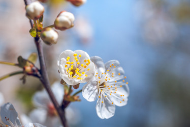 Similar image 13062141