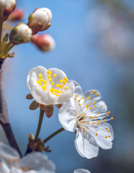 Similar image 13062142