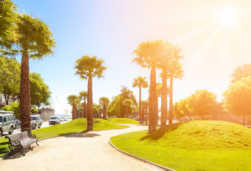 Similar image 13005098