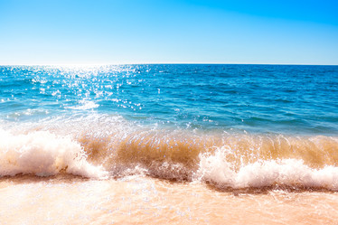 Similar image 13005123