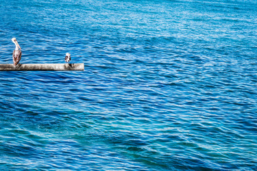 Similar image 13005125