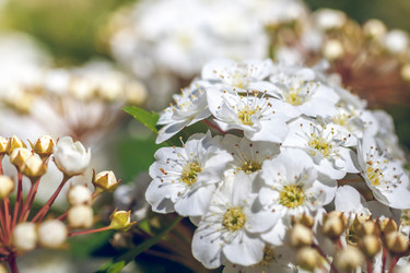 Similar image 13062143