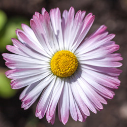 Similar image 13061982