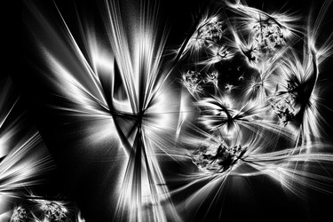 Similar image 13002065