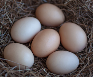 Similar image 13061983