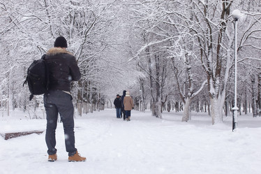 Similar image 13064839