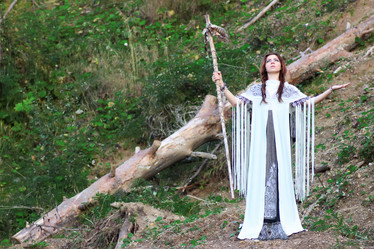 Similar image 13056082