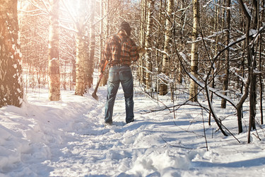 Similar image 13057615