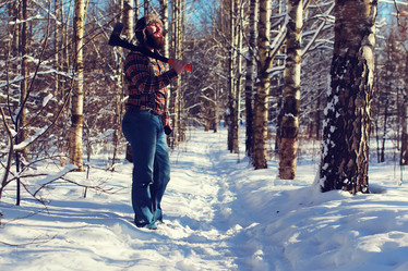 Similar image 13057636