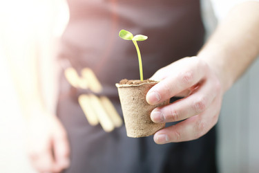 Similar image 13064996