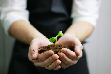 Similar image 13065036