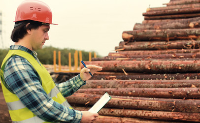 Similar image 13054616