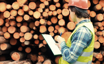 Similar image 13054797