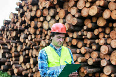 Similar image 13054817