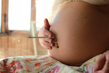 Similar image 13057001