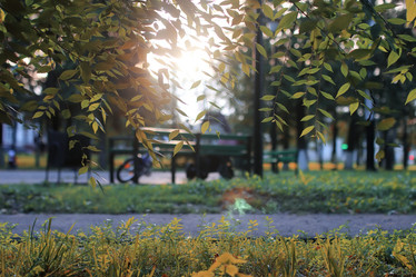 Similar image 13057716