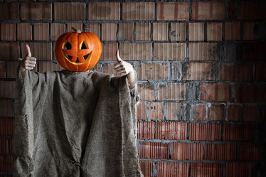 Similar image 13065097