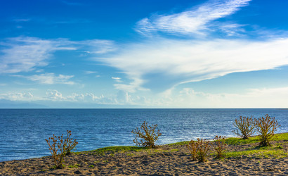 Similar image 13065405