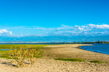 Similar image 13065406