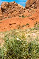 Similar image 13064557