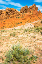 Similar image 13064558