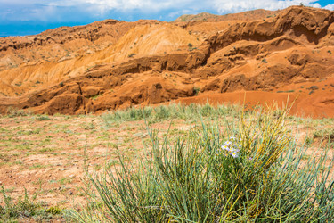 Similar image 13064559