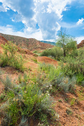 Similar image 13064575