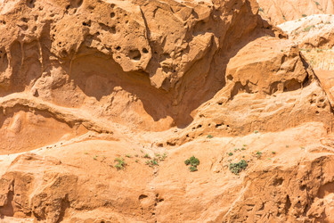 Similar image 13064620