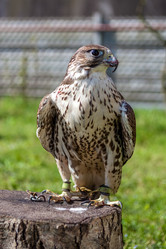 Similar image 13062110