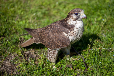 Similar image 13062144