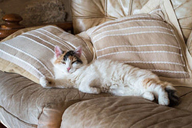 Similar image 13006196