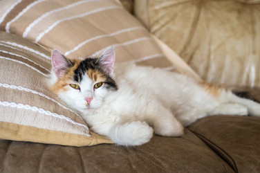 Similar image 13008077