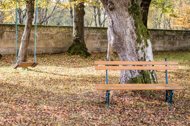 Similar image 13008061