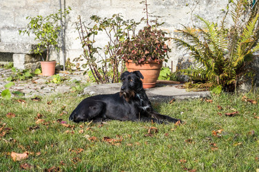 Similar image 13008065