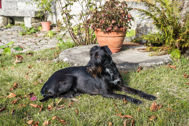 Similar image 13008067