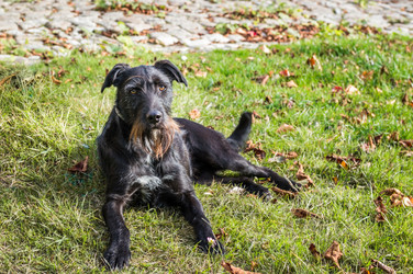 Similar image 13008069