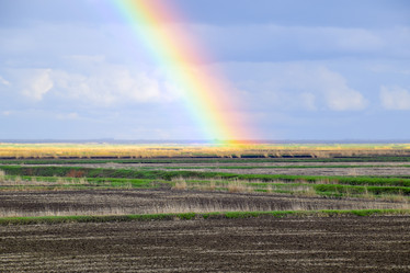 Similar image 13005236