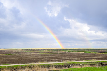 Similar image 13005237