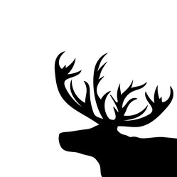 Similar image 13048724