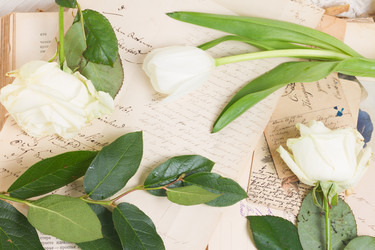 Similar image 13038808