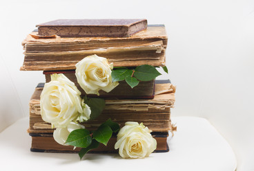 Similar image 13038827