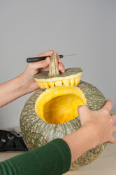 Similar image 13036200