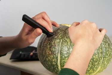 Similar image 13036201