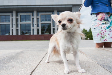 Similar image 13035873