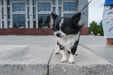 Similar image 13035921