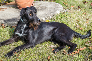 Similar image 13009155